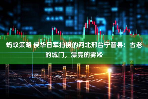 蚂蚁策略 侵华日军拍摄的河北邢台宁晋县：古老的城门，漂亮的雾凇