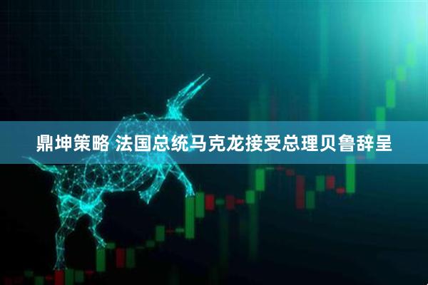 鼎坤策略 法国总统马克龙接受总理贝鲁辞呈